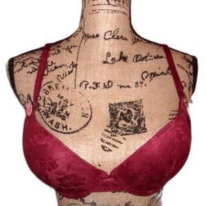 Youmita Russet Brown Lace Demi 40C Bra NWT